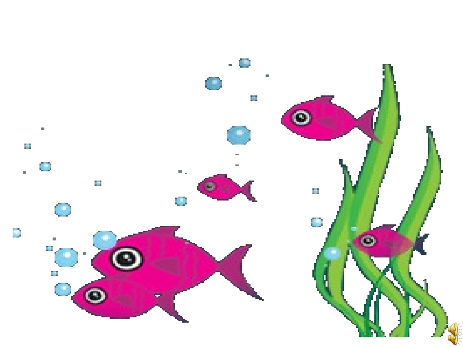 快乐的鱼儿课件_第2页