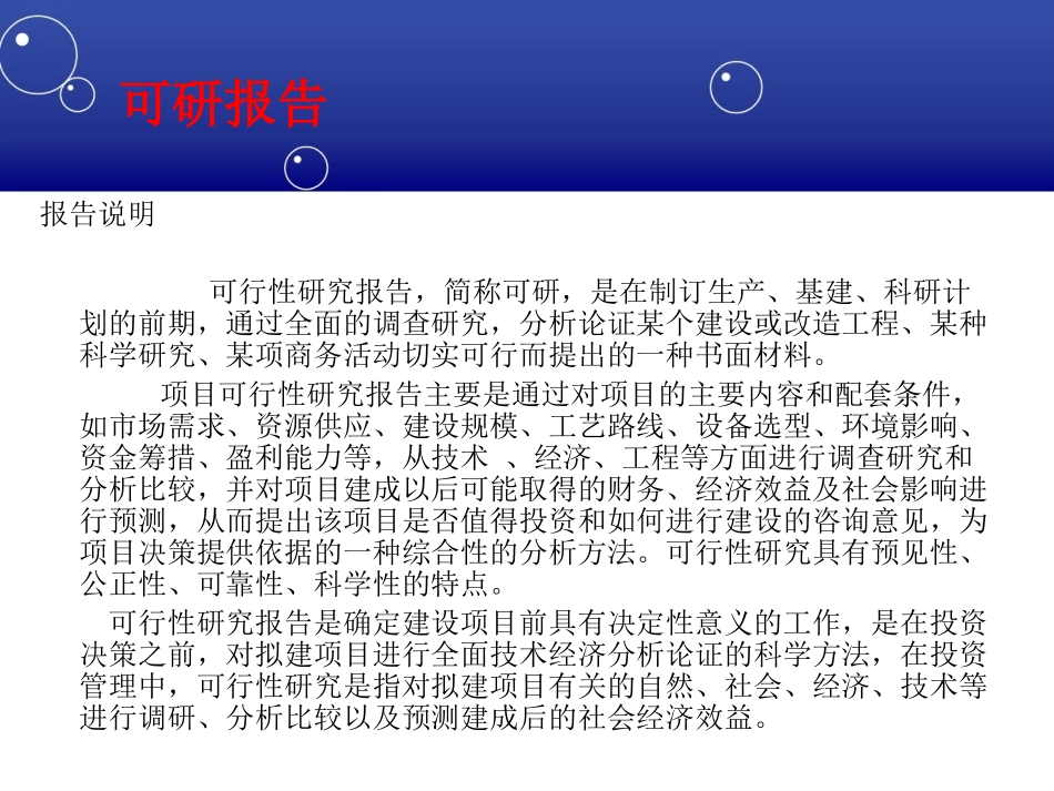 矿山项目可行性研究报告_第2页