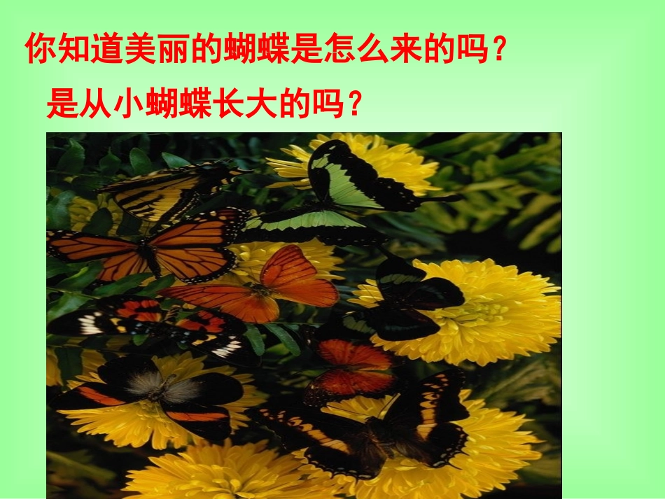 昆虫的生殖和发育_第2页