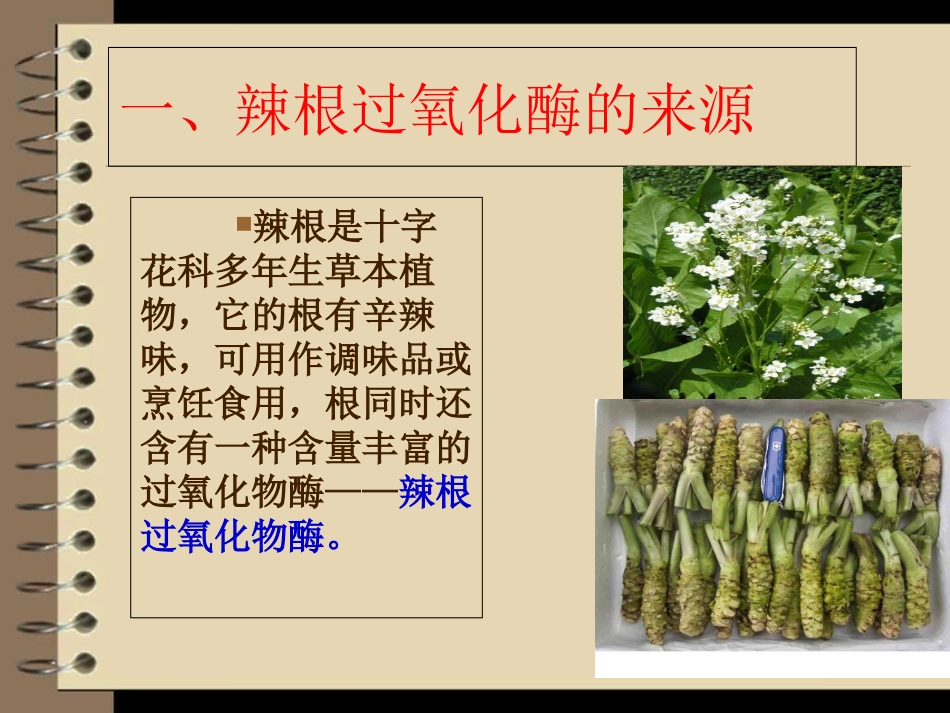 辣根过氧化物酶_第3页