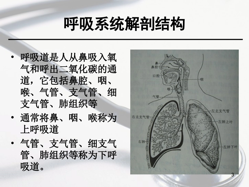 老年人冬春季呼吸道传染病防治知识培训课件_第3页