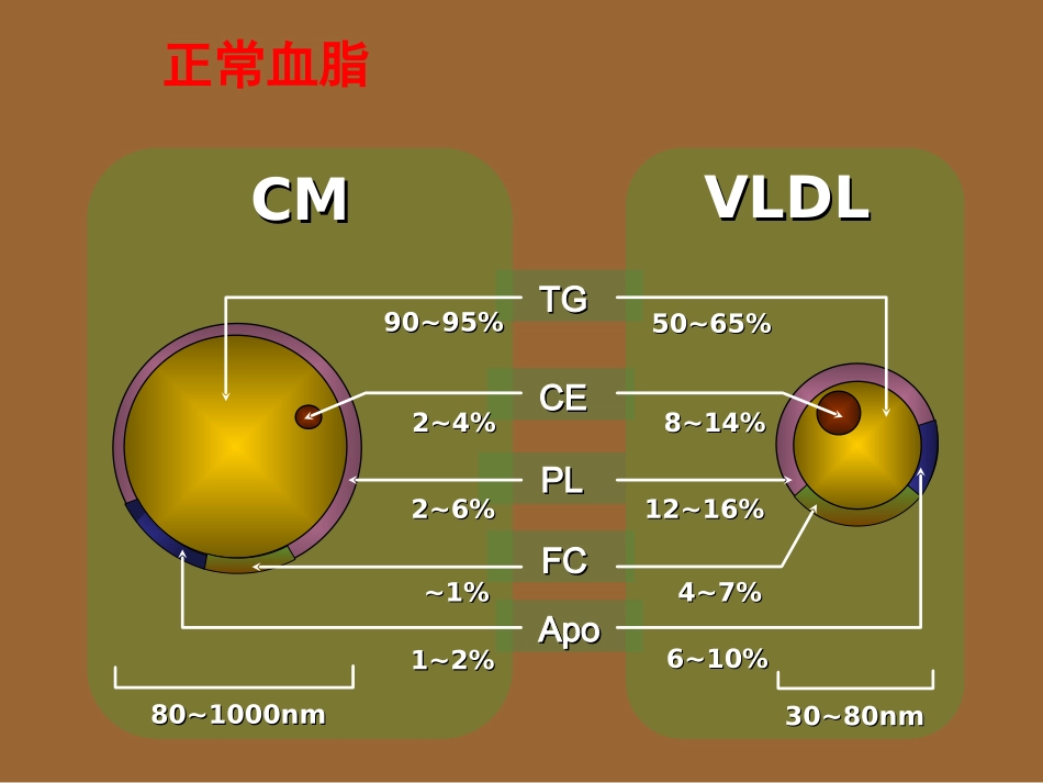 老年医学课件老年脂代谢异常_第3页