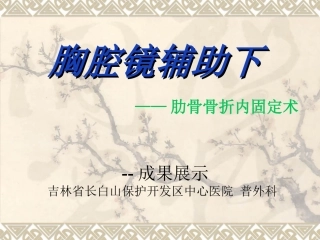 肋骨骨折内固定术