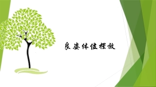 良姿体位摆放
