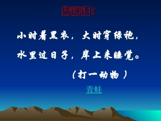 两栖动物的生殖和发育课件