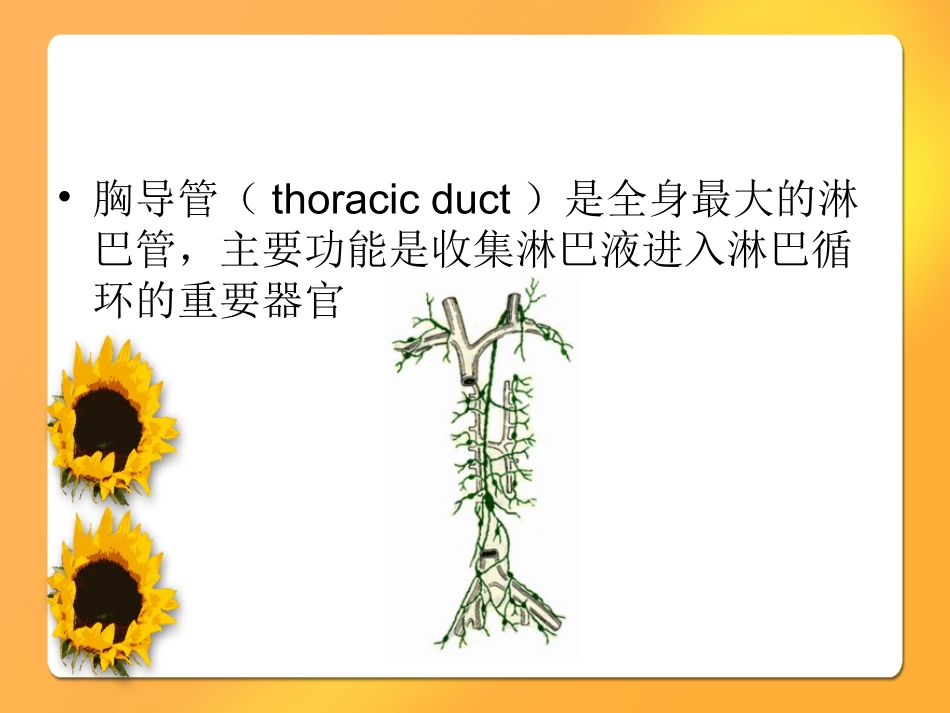 淋巴漏乳糜漏_第3页