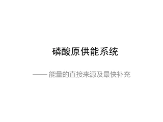 磷酸原供能系统