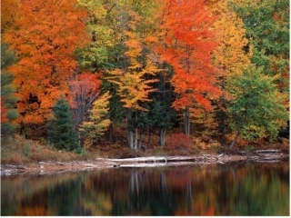 刘禹锡秋词课件