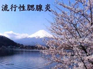 流行性腮腺炎PPt