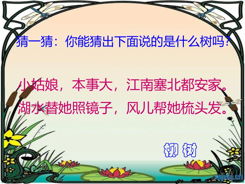 柳树姑娘课件_第2页
