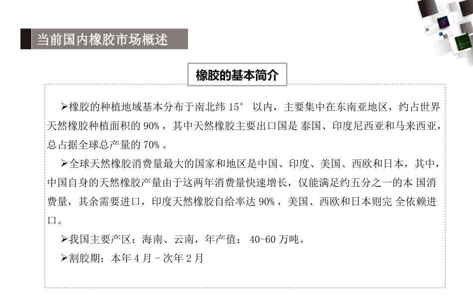 轮胎市场调研报告_第3页