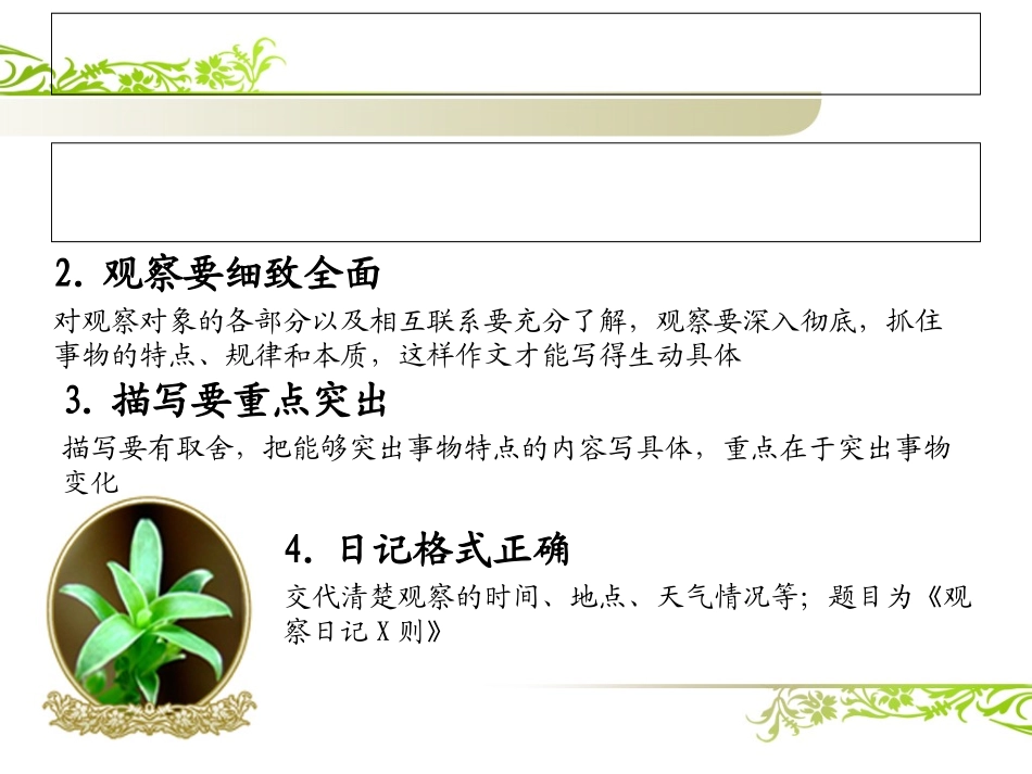 绿豆芽观察日记_第1页