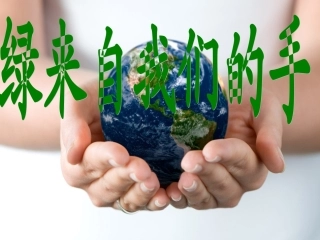 绿来自我们的手