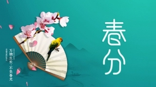 绿色中国风二十四节气春分介绍