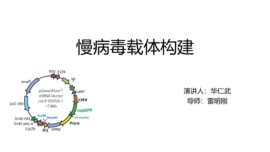 慢病毒载体构建_第1页