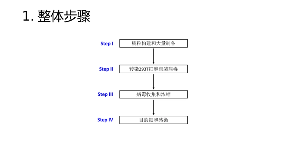 慢病毒载体构建_第2页