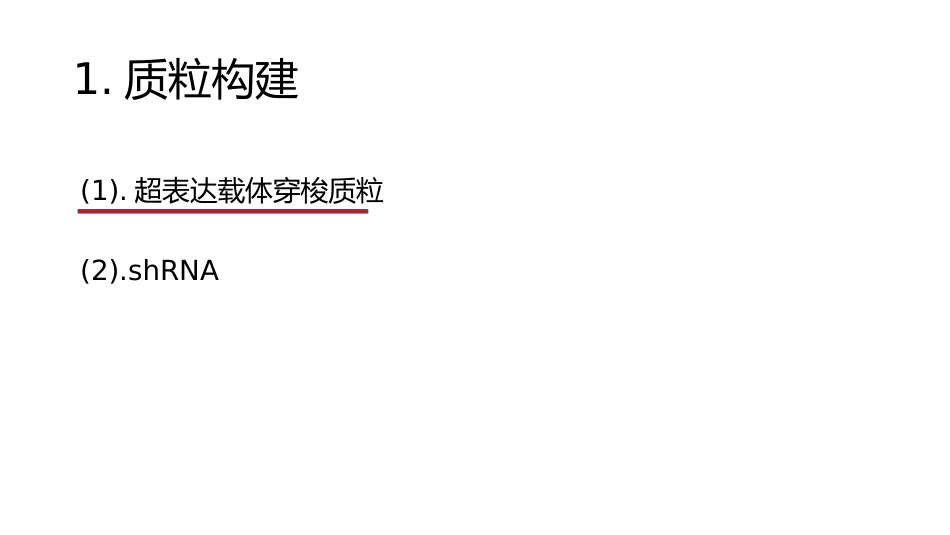 慢病毒载体构建_第3页