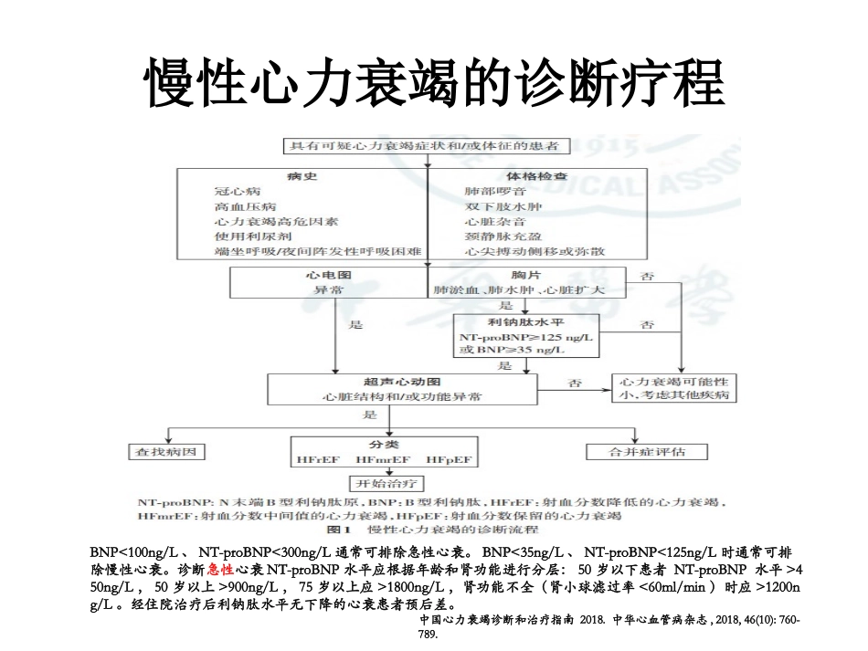 慢性心力衰竭诊疗和治疗_第3页