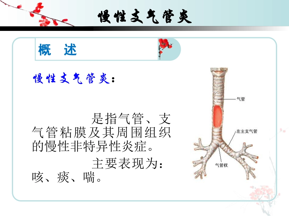 慢性支气管炎的护理_第2页