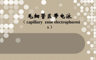 毛细管区带电泳解析资料