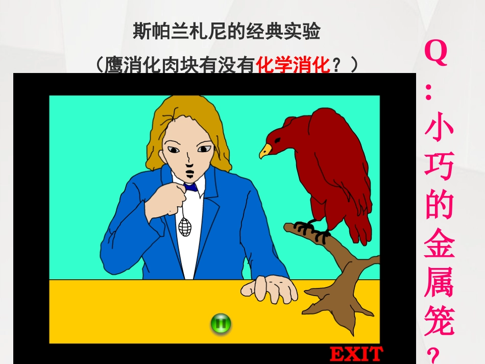 酶的作用和本质_第3页