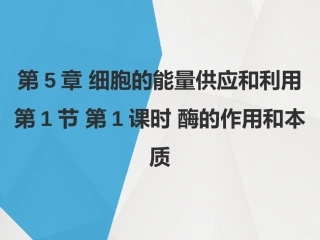 酶的作用和本质