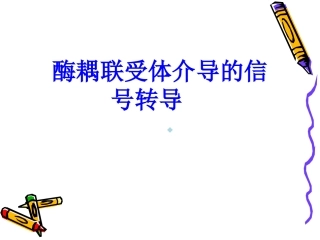 酶耦联受体介导的信号传递