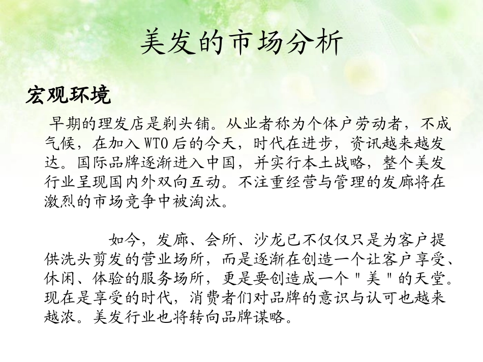 美发可行性分析报_第2页