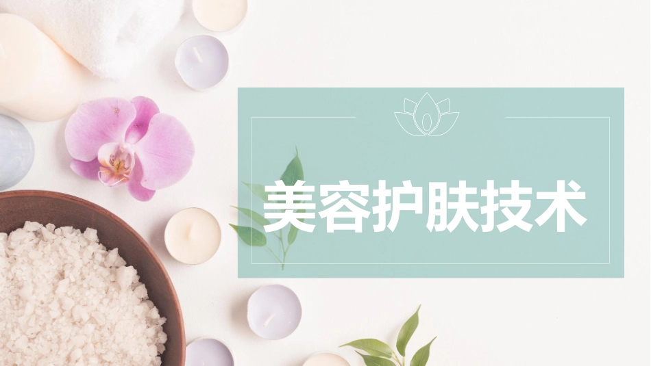 美容护肤技术面部按摩_第1页