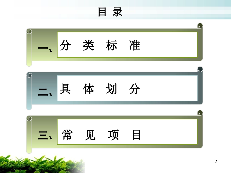 美容院线常见项目_第2页