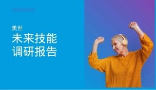 美世未来技能调研报告