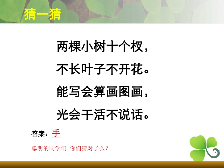 美术课会说话的手_第1页