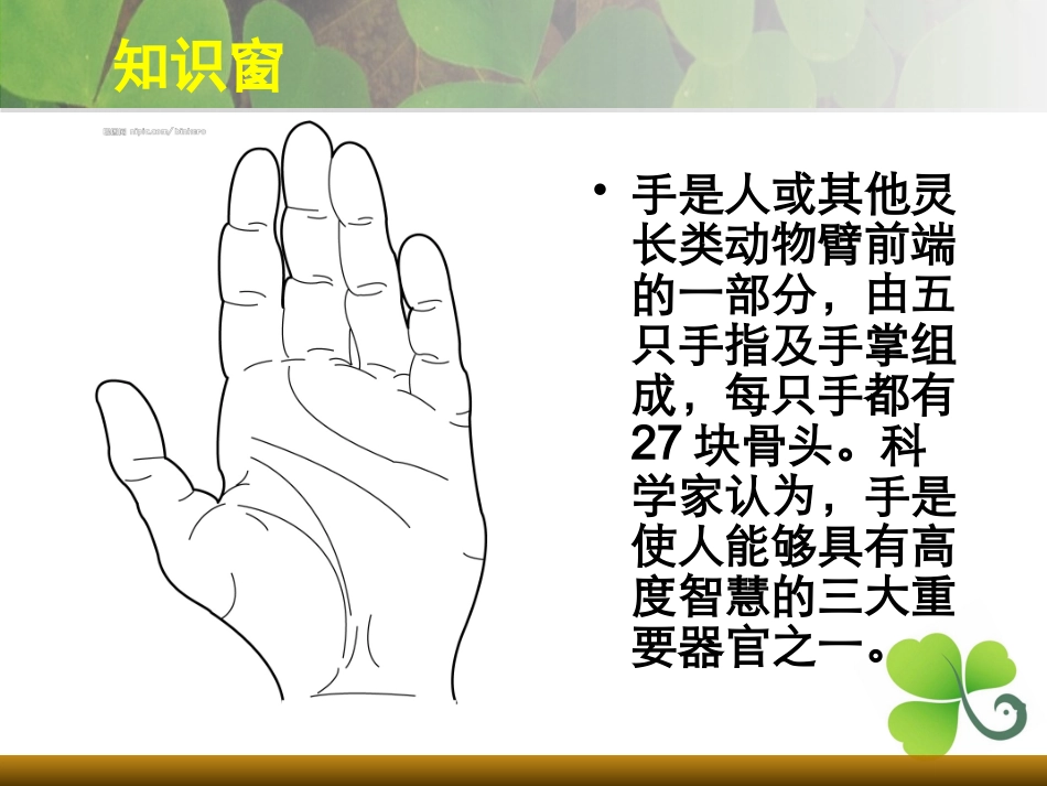 美术课会说话的手_第3页
