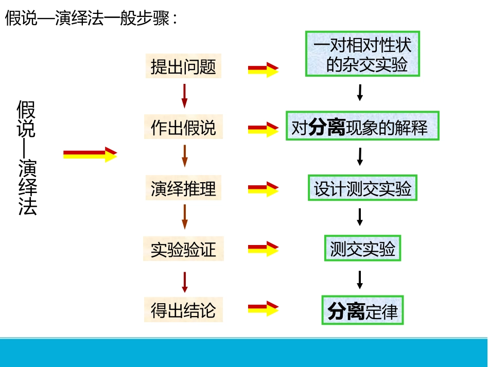 孟德尔的豌豆杂交实验二_第2页