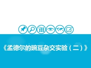 孟德尔的豌豆杂交实验二