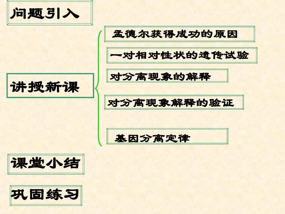 孟德尔的豌豆杂交实验一_第2页