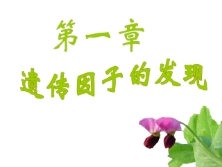 孟德尔杂交实验二