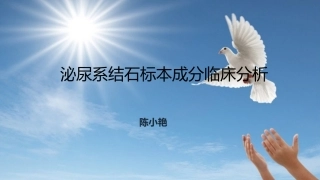 泌尿系结石标本成分临床分析