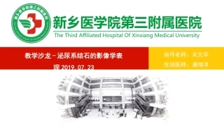 泌尿系结石的影像学表现潘瑞洋