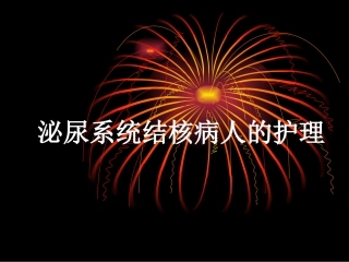 泌尿系统结核病人的护理