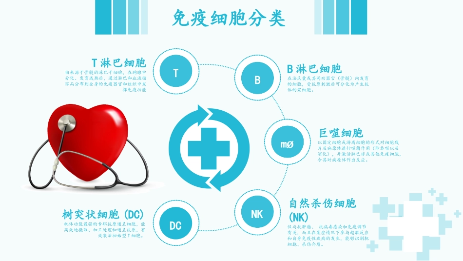 免疫细胞存储_第3页