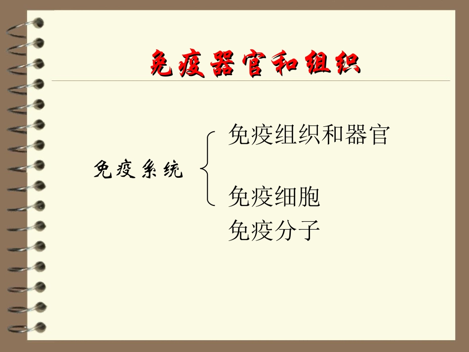 免疫学免疫器官和组织_第1页