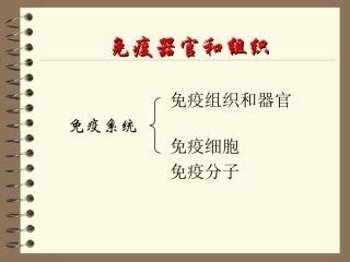 免疫学免疫器官和组织