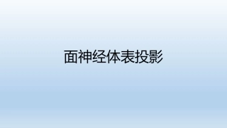 面神经体表投影幻灯片