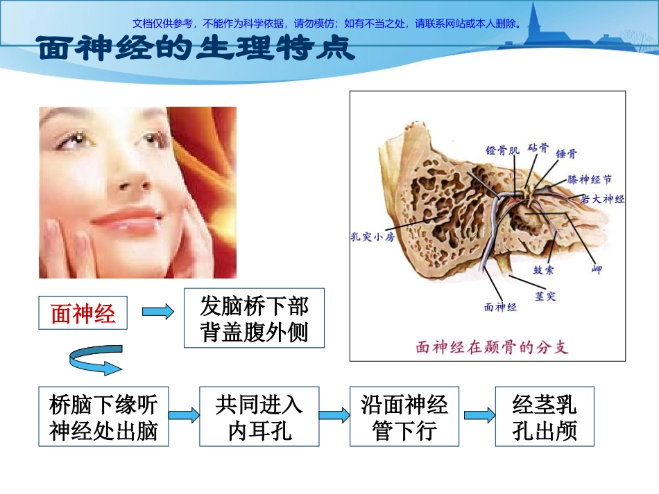 面神经炎中医治疗课件_第2页