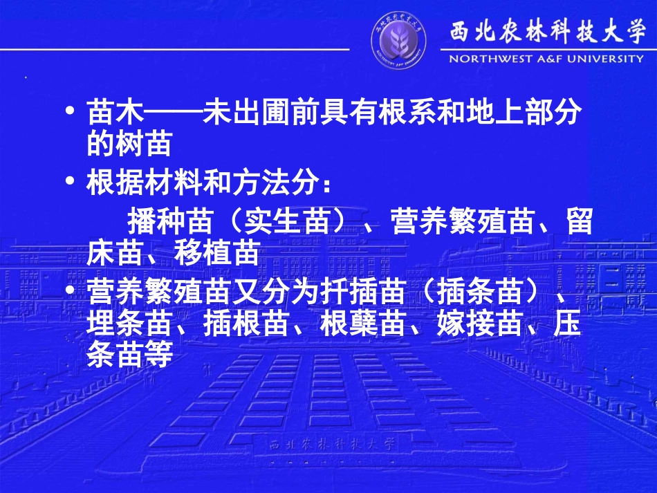 苗木年生长规律_第2页