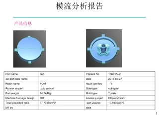 模流分析报告