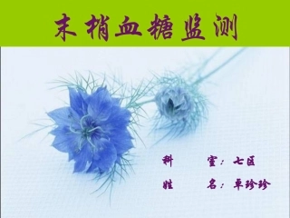 末梢血糖监测卓珍珍