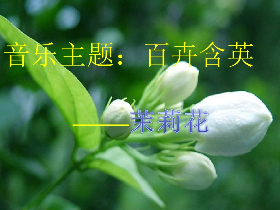 茉莉花音乐课件_第1页