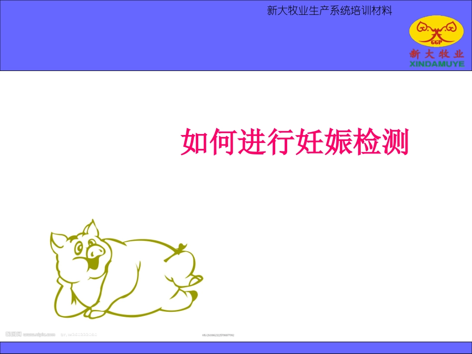 母猪的妊娠检测技术_第2页
